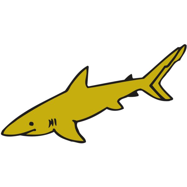 AR  SHARK 31 RC Thumbnail